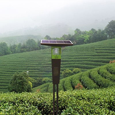 茶园杀虫灯 茶园杀虫灯