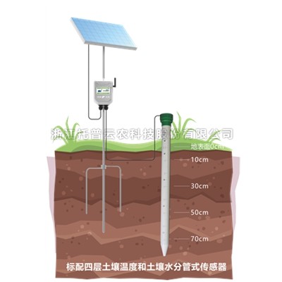 管式污芭乐成人墒情监测站