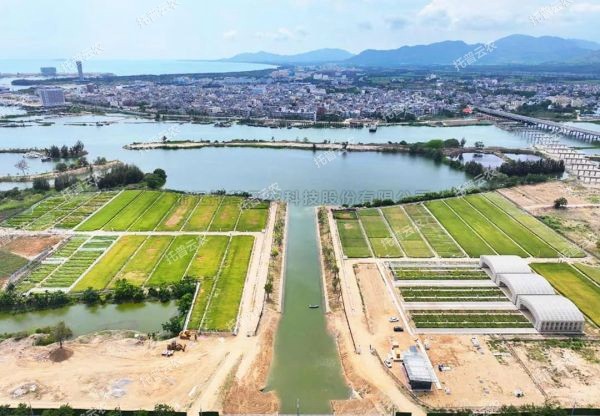 耐盐碱水稻科研试验基地建设解决方案