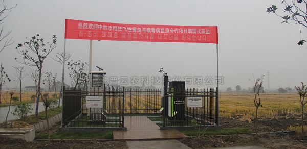 芭乐视频APP污版水稻病虫害绿色防控智能监测设备 芭乐视频APP污版水稻病虫害绿色防控智能监测设备