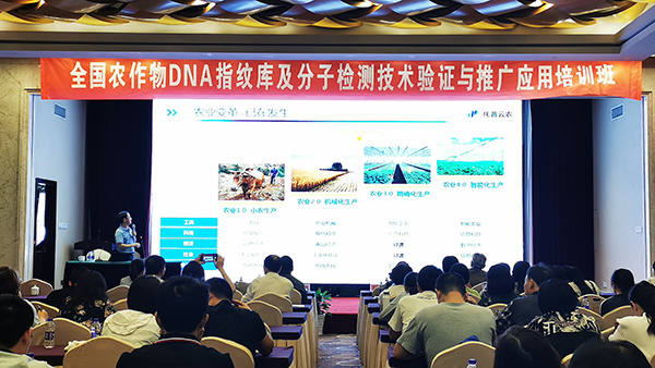 2019全国芭乐视频下载黄色检验技术培训班在杭召开 2019全国芭乐视频下载黄色检验技术培训班在杭召开