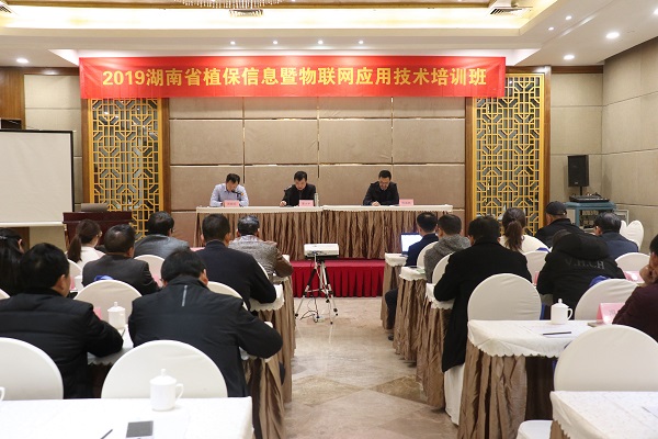芭乐视频APP污版服务湖南省植保信息技术培训班在杭开班 芭乐视频APP污版服务湖南省植保信息技术培训班在杭开班