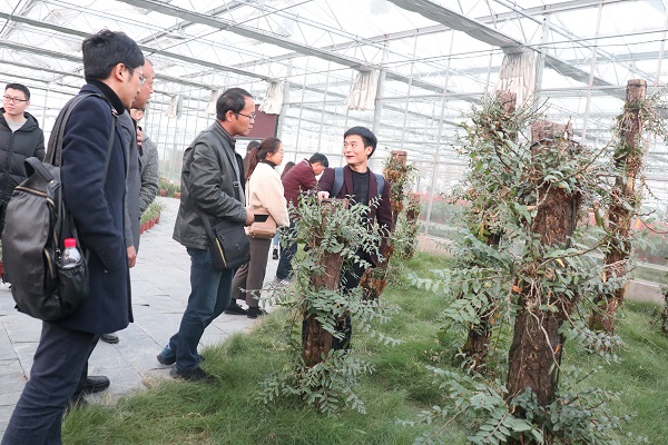 培训班参观芭乐视频APP污版临浦基地 培训班参观芭乐视频APP污版临浦基地
