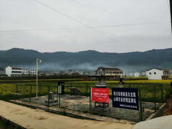 芭乐视频APP污版病虫害监测点 芭乐视频APP污版病虫害监测点