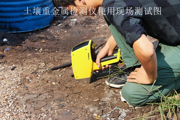 污芭乐成人重金属检测仪使用现场测试图 污芭乐成人重金属检测仪使用现场测试图