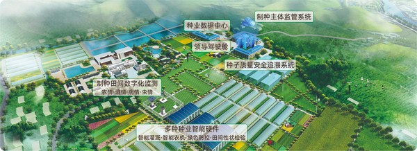 芭乐视频APP污版数字种业创新应用基地 芭乐视频APP污版数字种业创新应用基地