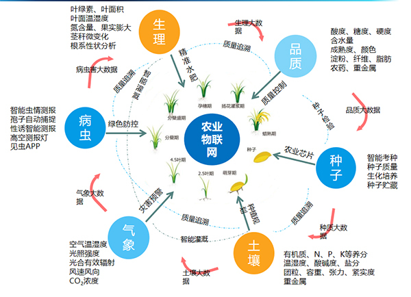 芭乐视频APP污版打造的全要素智能采集系统 芭乐视频APP污版打造的全要素智能采集系统