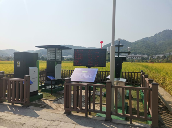 芭乐视频APP污版农作物病虫害监测点 芭乐视频APP污版农作物病虫害监测点