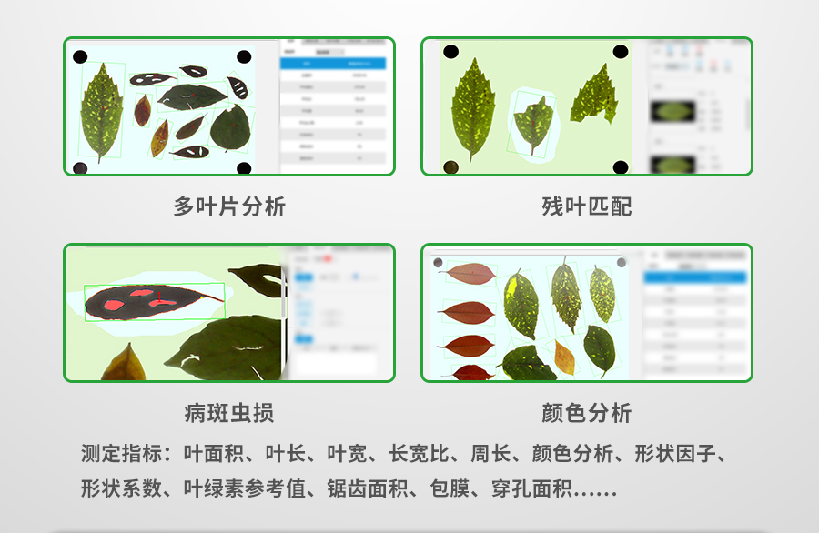 拍照式叶面积测量仪 拍照式叶面积测量仪