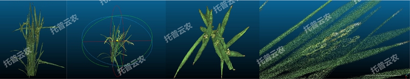 1723011632835180.jpg 盆栽植物三维数字表型采集分析系统_副本.jpg