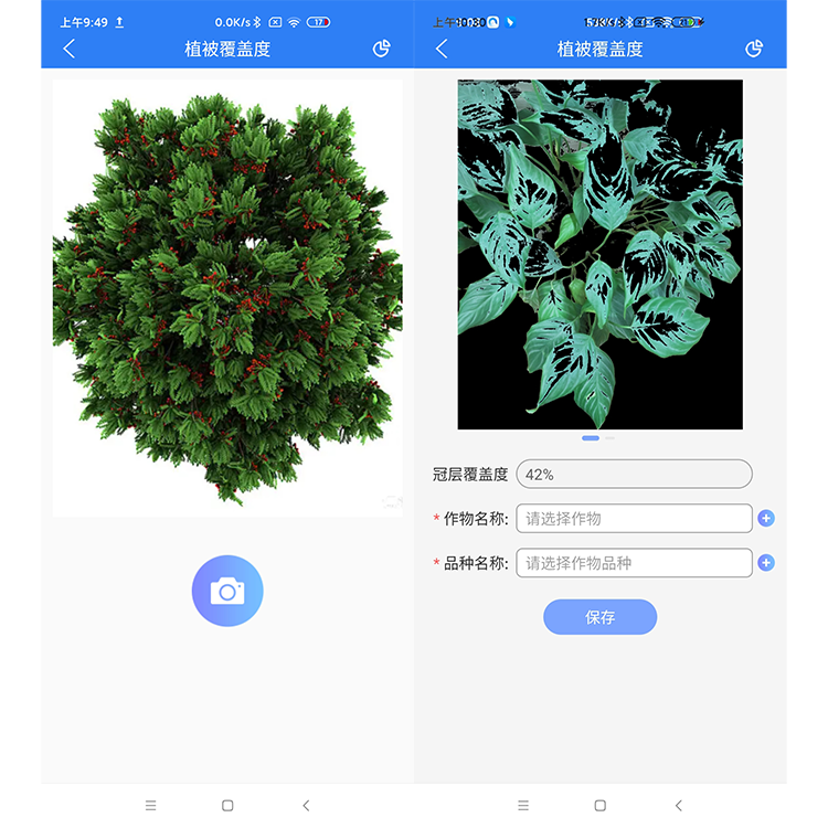 1756428592196475.png 森林覆盖度.png