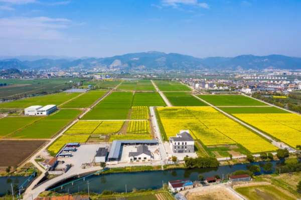 1787303611938011.png 图片1_副本.png