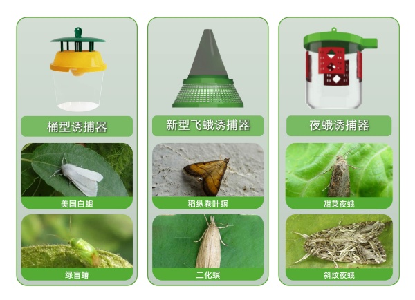1788338712668150.jpg 2.益特IT智慧性诱测报系统5.0Plus_副本.jpg